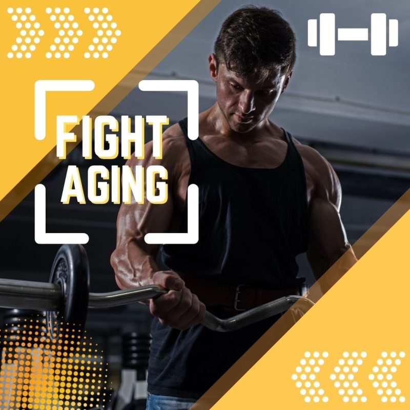 Fight Aging